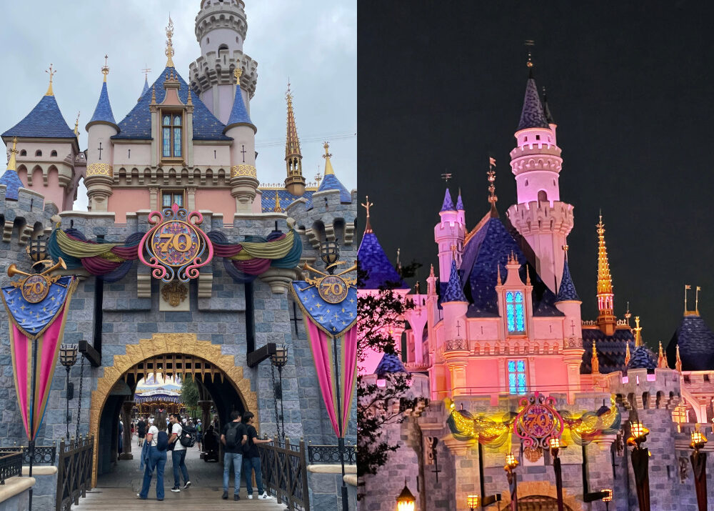 What to do During Different Times of the Day at The Disneyland Resort